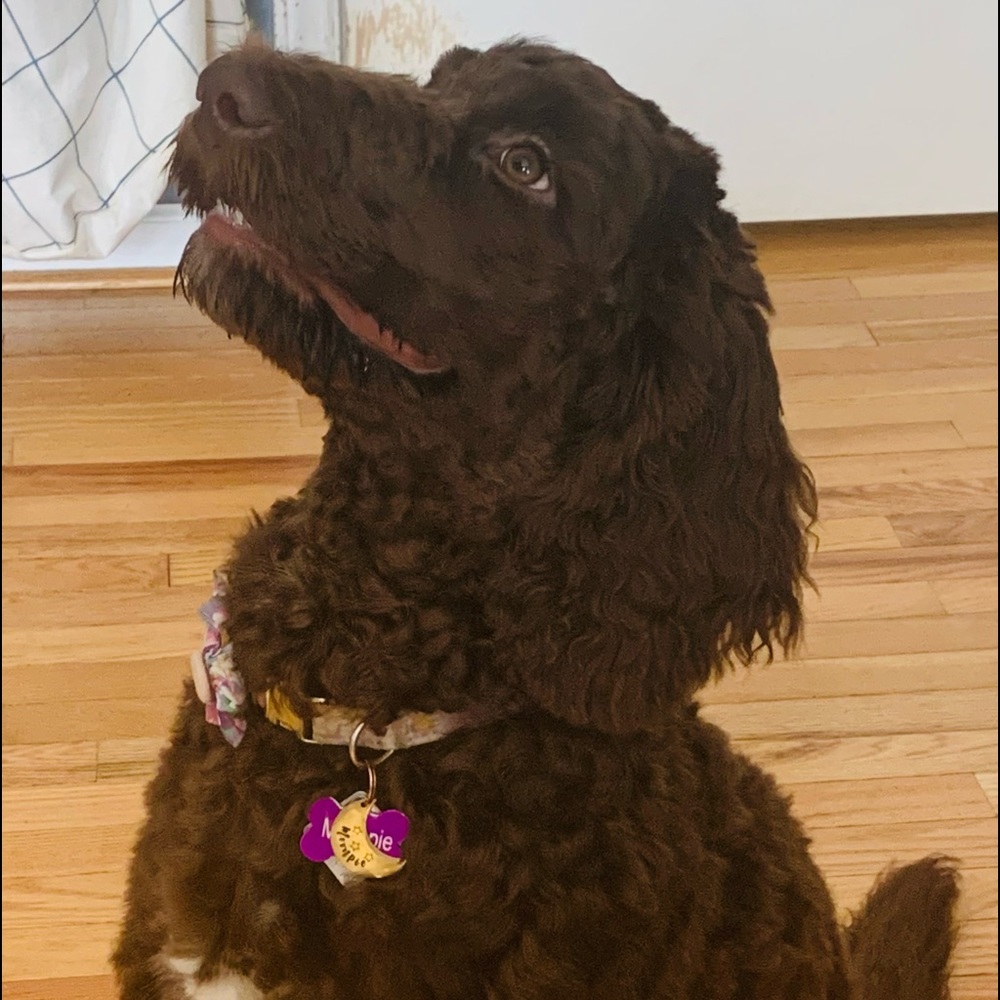 Meet your Posher, Amy